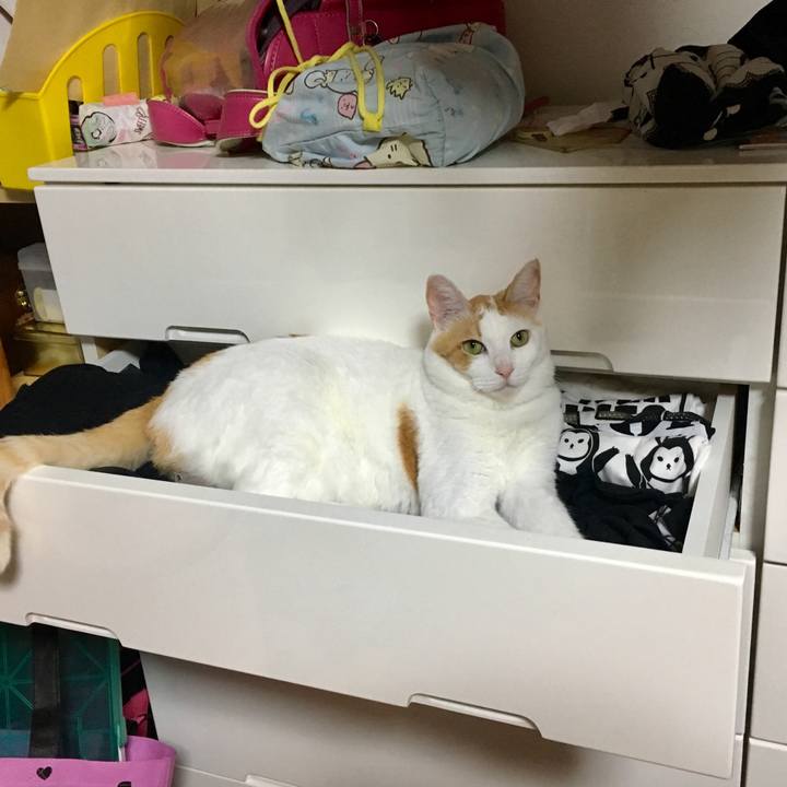 B289fa95 a9ca 4960 971f 2631408069f6 1532179242532