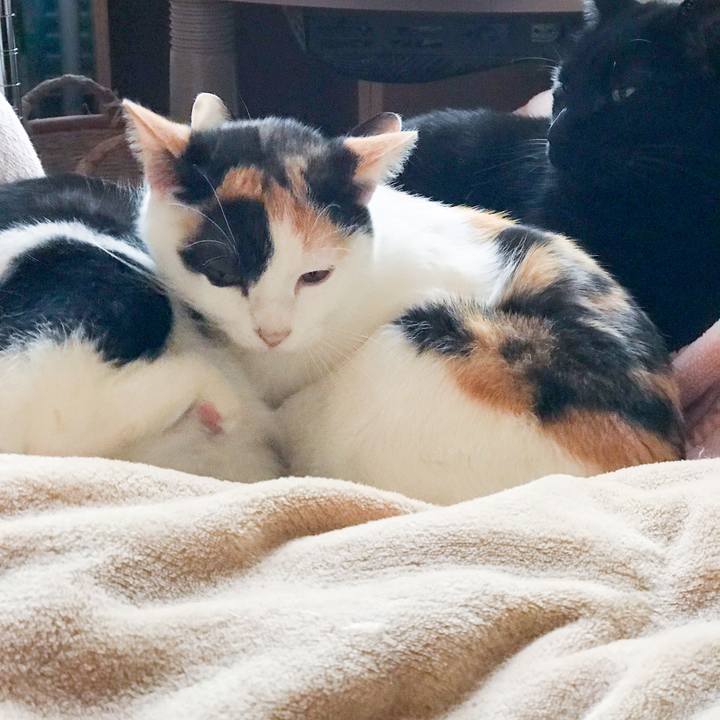 B28a0b94 9004 4f7d a851 936478a43c46 1513415796339