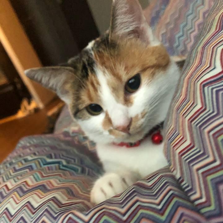 B28a2d90 86de 4452 ba35 cc6913bc357e 1576452736332