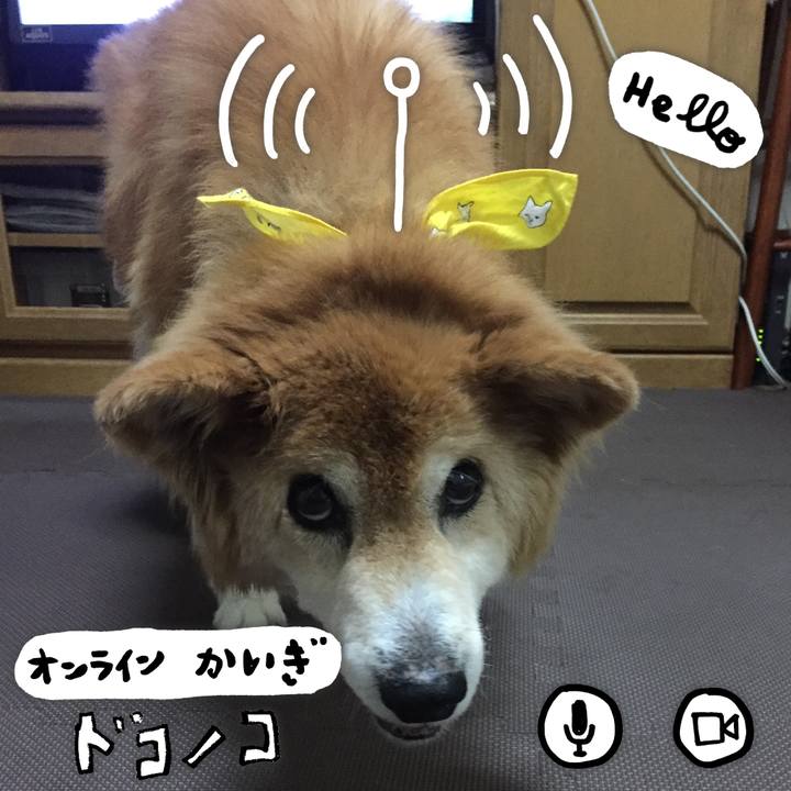 B28a3d6a af4b 4245 9ff4 7e6348f1bceb 1590740568734