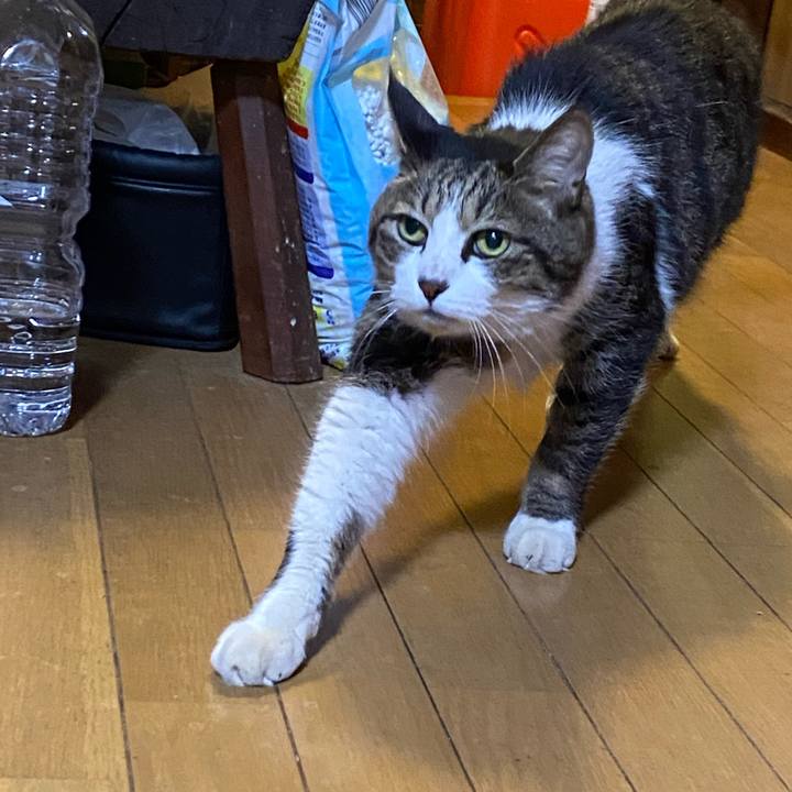 B28a4a79 5654 47ac 96ec 04a7e838f7c9 1682166514266