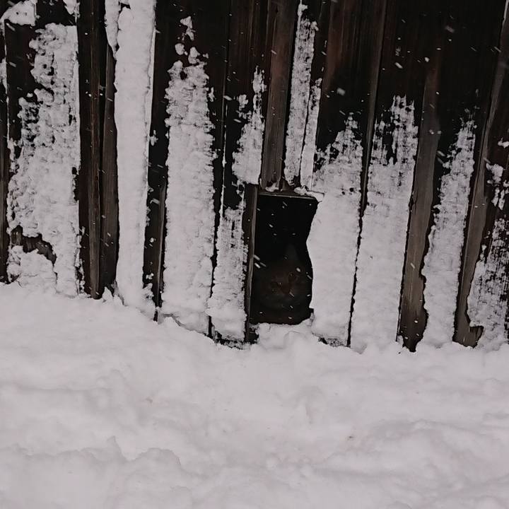 B28a8b3d 7cec 4528 aabf 092d89d82202 1646614443274