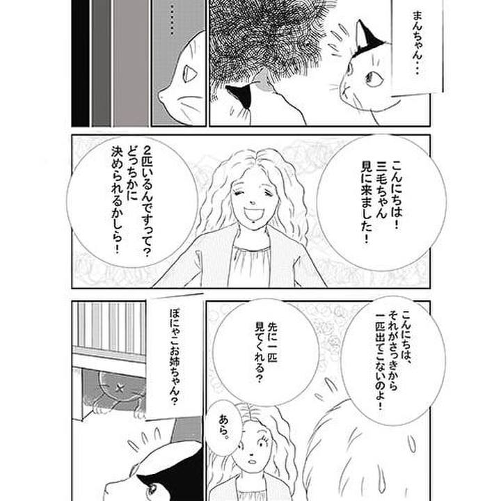 B28a9adf 843a 405b a6a6 45a731a3787a 1598877207375