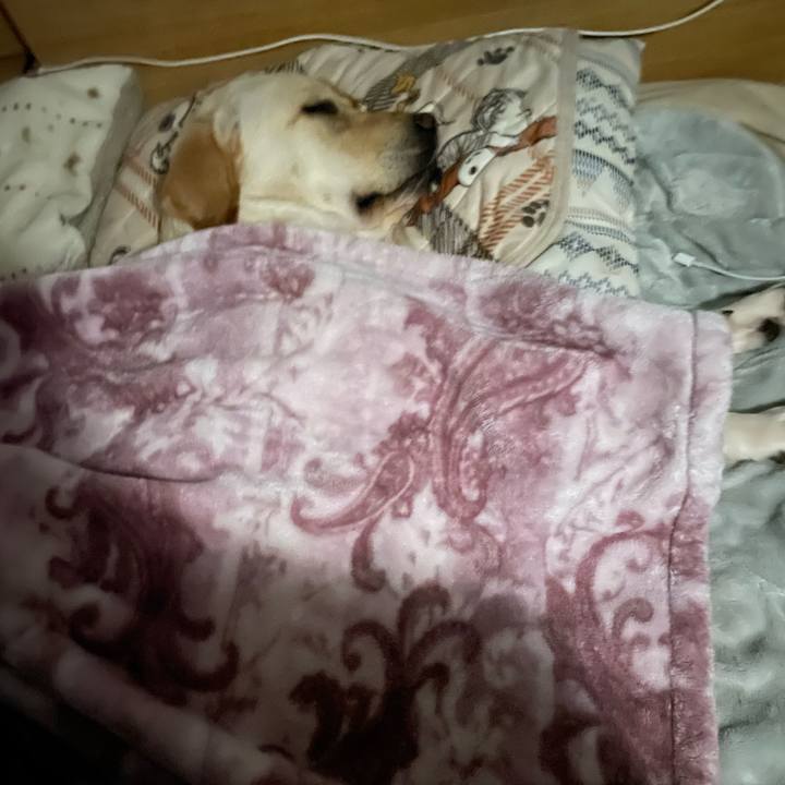 B28aa6b5 34f9 4aca 9771 b1a0d8a3c4ee 1676818796138