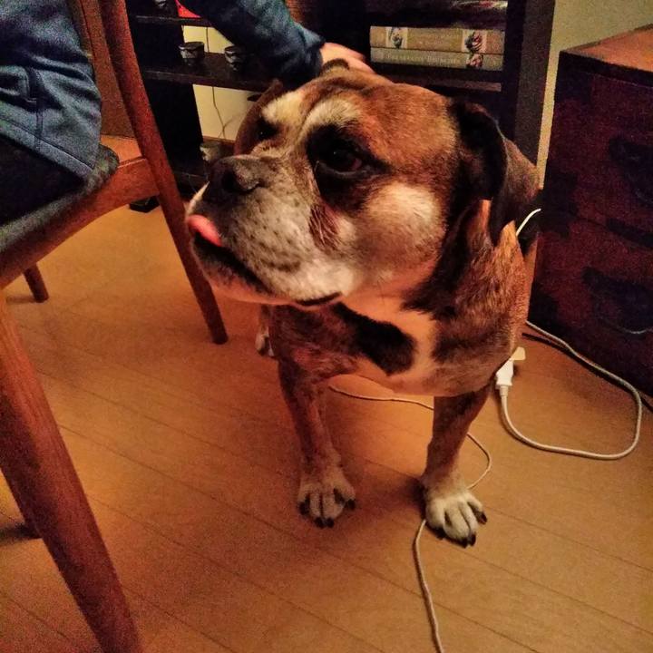 B28aafda abd5 43b4 96ac b2a39a32302b 1512377970655