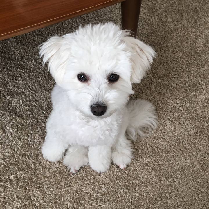 B28abcf9 6d76 4381 93e1 07bee0ccf8f4 1516317071169