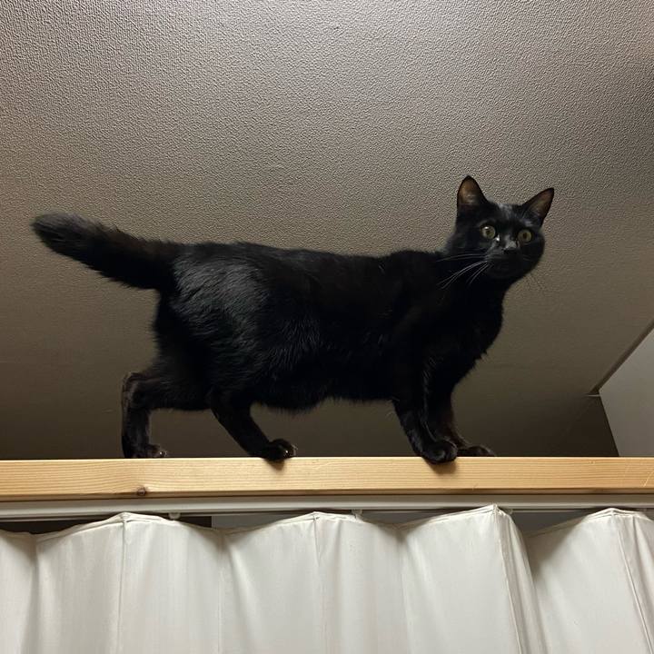 B28ac6a5 aa5c 42ca 8055 ebb066ea1afc 1700740351169