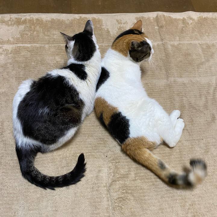 B28ade22 8fb1 48e8 91c5 dff6332c3df2 1654046435125