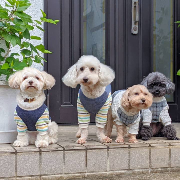 B28b2127 22da 4d41 af53 0aa5f96c641b 1765329473683