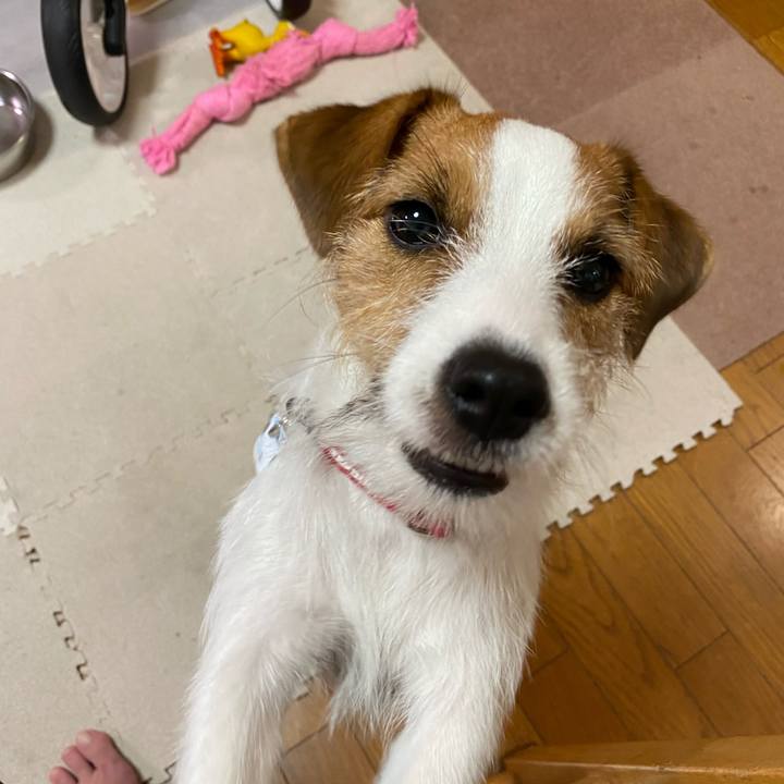 B28b3dab 7874 4b5e 9d60 e576b3b877bb 1629066564742