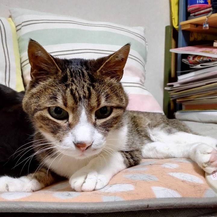 B28be25f 7048 4060 9bc2 a211ab48641d 1761808255073