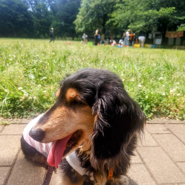 B28be8e6 22fa 432a 8f9e f51c0f1c30f7 1717037124148