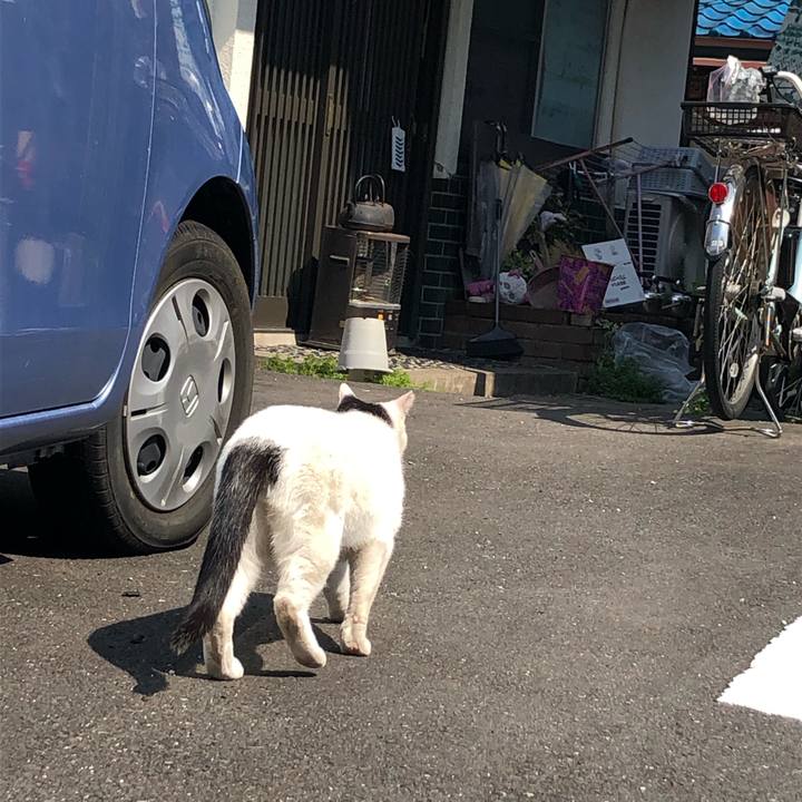 B28c36fc 6b32 47ad b70b f8872104b6e0 1584631341532