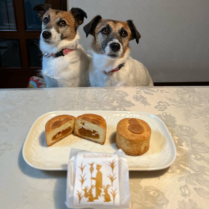 B28c3787 f037 4203 825c fdc139034535 1680339021499