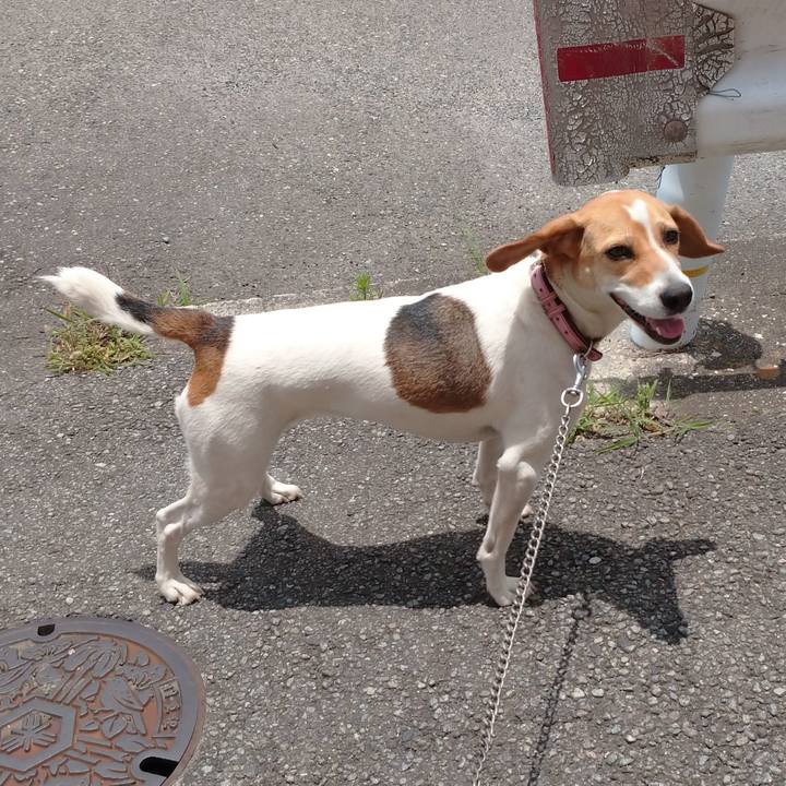 B28c378f 5e0d 4059 97ce 59ed10eddc82 1600355258365