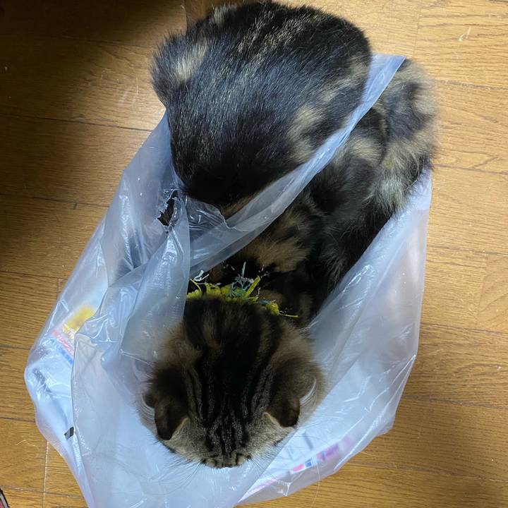 B28c8d84 fe65 4f93 9f11 78c3dc706c41 1619060590670