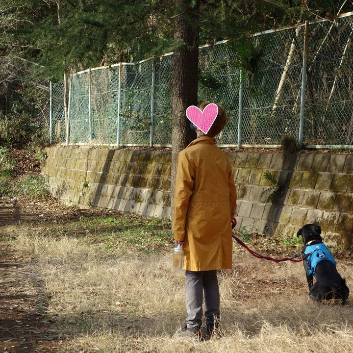 B28c953c 2983 400d be69 34e113d95010 1615854577855