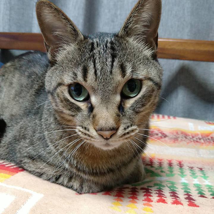 B28cc13b b3b3 4576 b7f0 517311bab88f 1718297863020