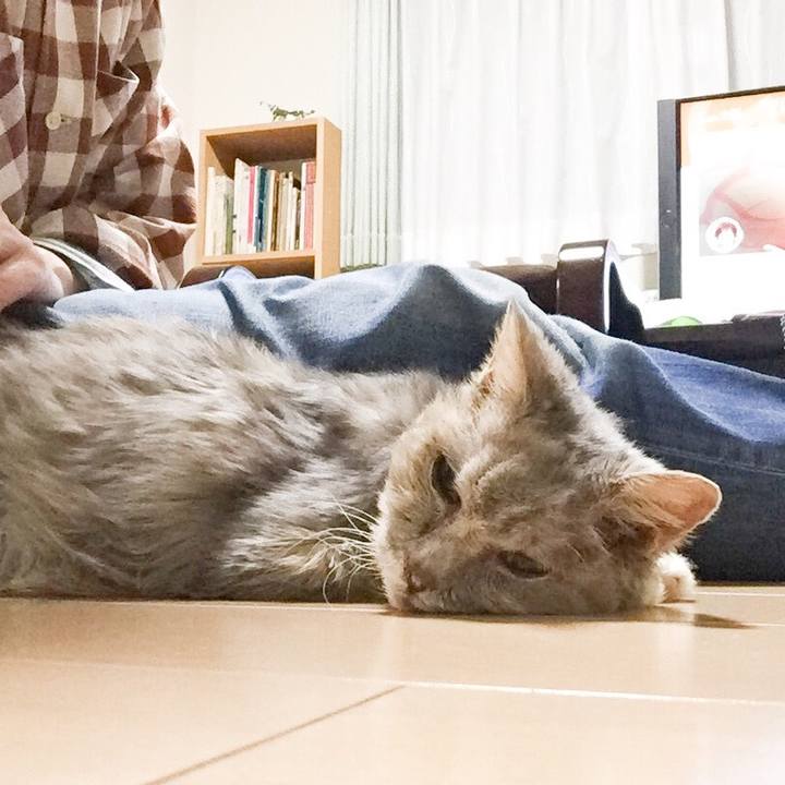 B28d17fa cf75 477f a31f 82874057458d 1577800014325