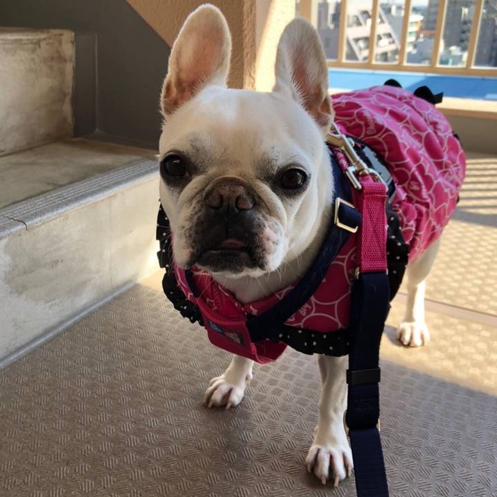 B28d28e7 09d9 45bc b76a 0bbc7dbbd9b4 1581399645436