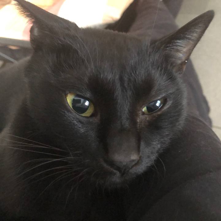 B28d465f 224e 47e1 837b 50a660c77a02 1670019668760