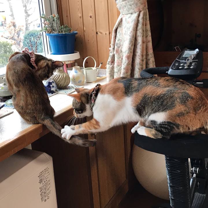 B28d4dcf fcf4 4bd3 a13c 2e3de0ecefdf 1615757454172