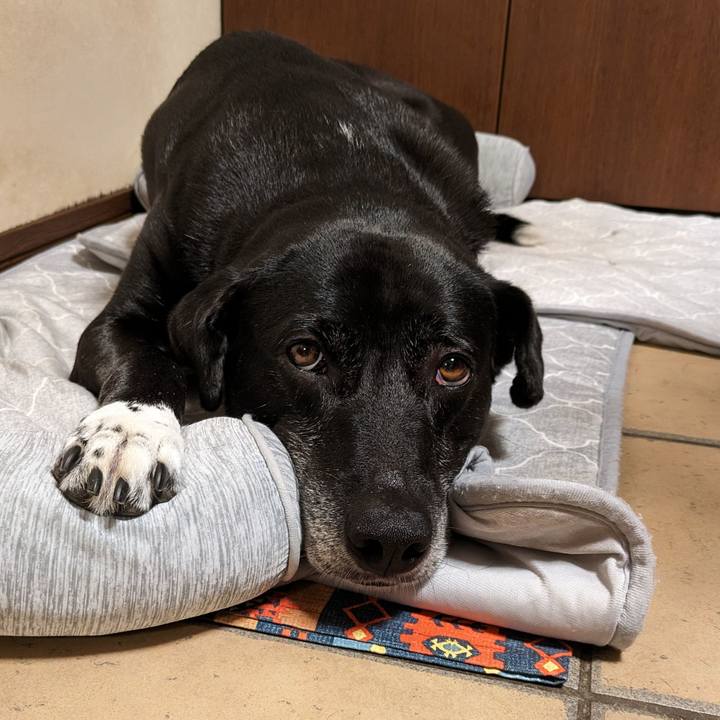 B28d6e7f 9d50 4b9f b8a8 f986410a85bf 1717068021757