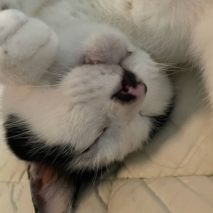 B28d7bf1 b65c 4578 b2f1 956fa63e4cb4 1628558451886