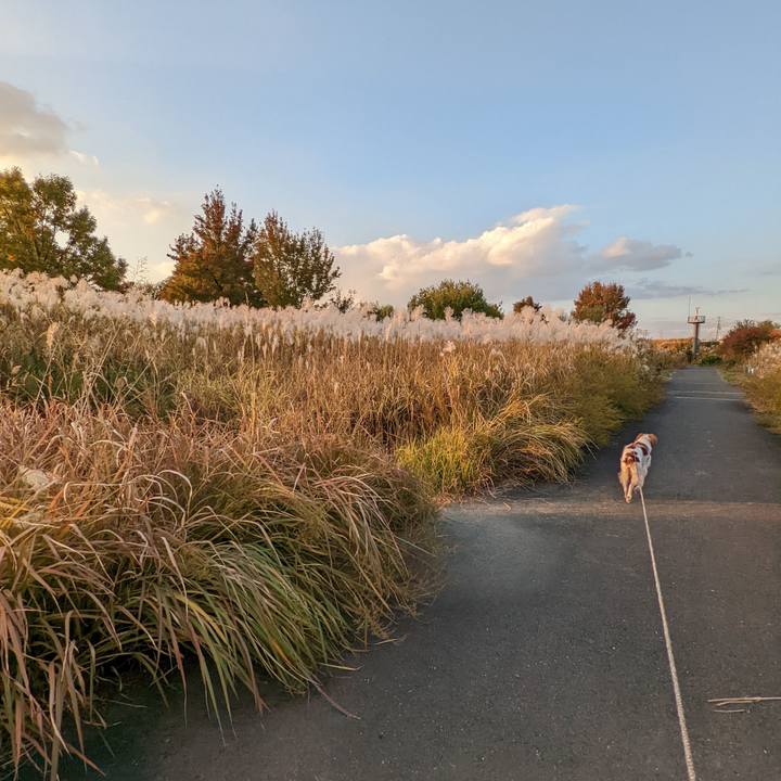 B28d98a3 5012 4ceb aec2 e89c1429d8c7 1637150268062