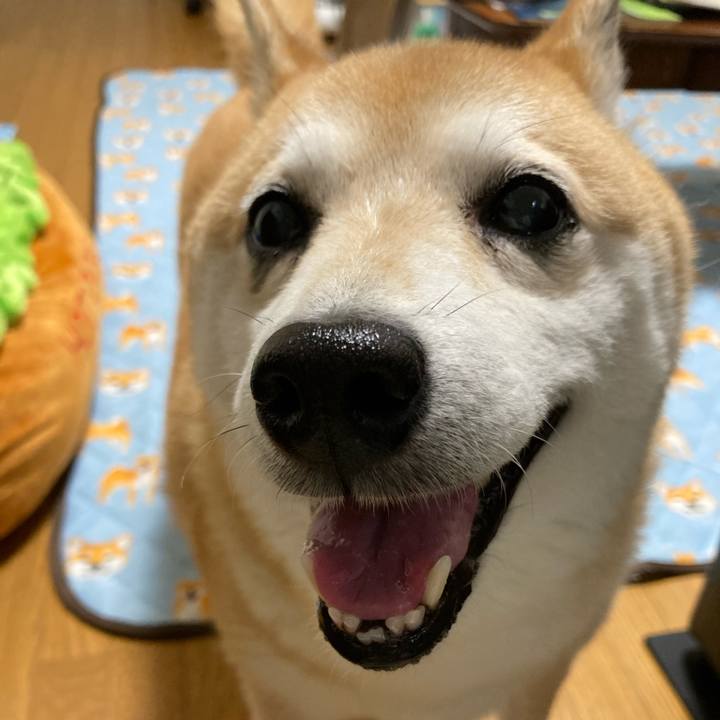 B28d99ed cddd 46b8 9bde 8fc706e7c33f 1625289817292