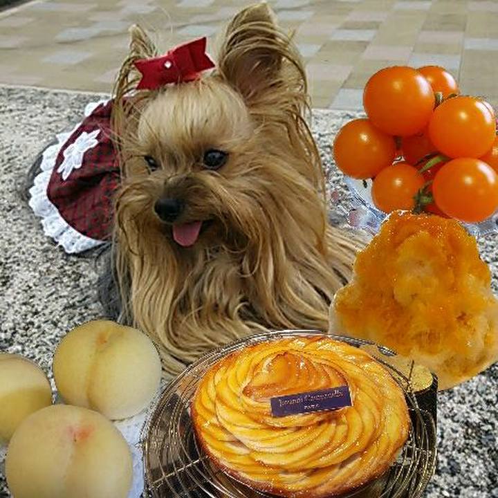 B28da7ef bec5 4089 b63f 34f61ba607f1 1625630893933