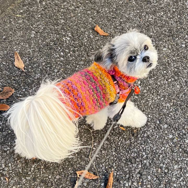 B28db8ab ba33 4d5c 8268 5284481ad441 1735530101993