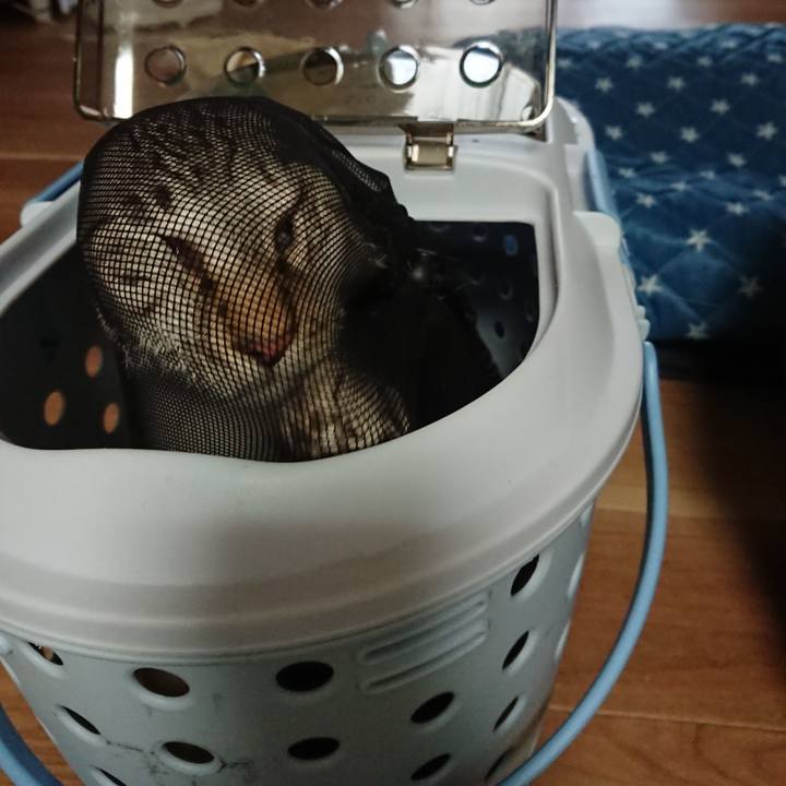 B28dbaaa 4f7b 4469 b2de 947020d73e97 1595651282071