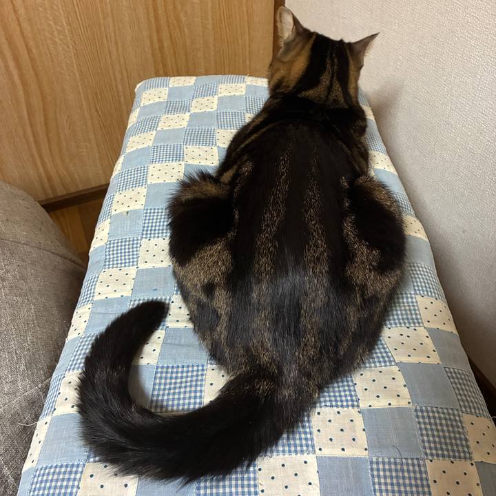 B28dc630 d320 4e96 af71 78860998f3c9 1774004940326