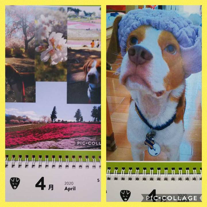 B28de8cf c342 4aec a6a0 91584e5cda23 1585716390867