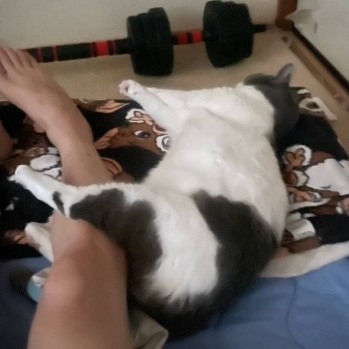 B28dedcd 1cc2 470e a0ca c6f6e07fae96 1754949944857