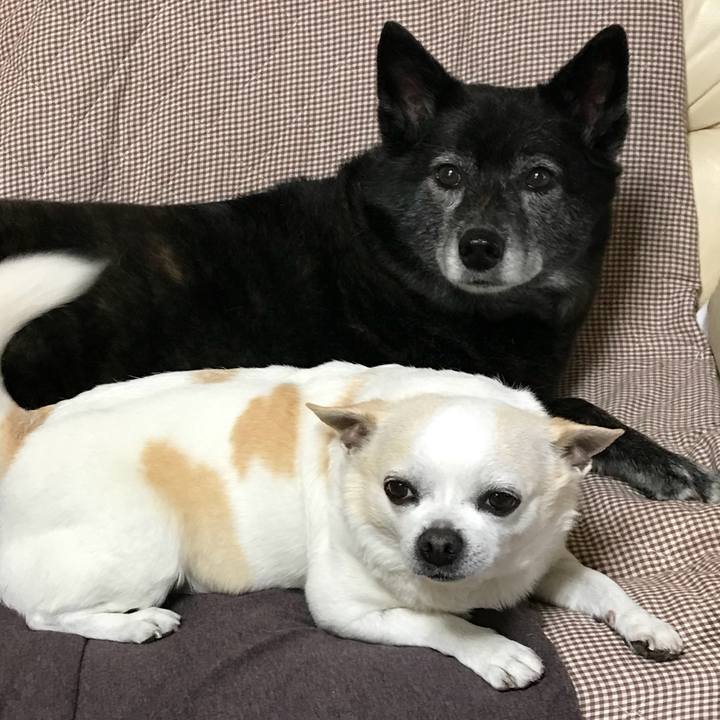 B28e04ab cb5f 4a12 bce8 d0d1610a808b 1522664060059