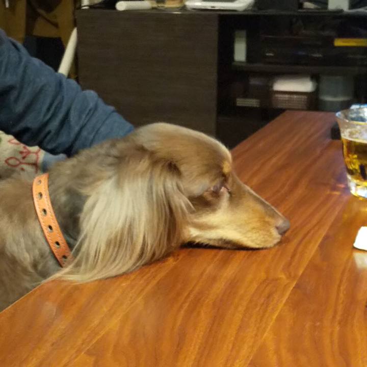 B28e0702 9763 48a6 80b3 26c68b3fbc9e 1553777067427