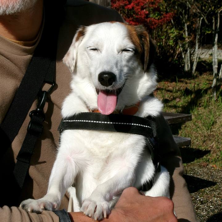 B28e0914 6018 4108 8db1 04115b7bb76a 1762842576844