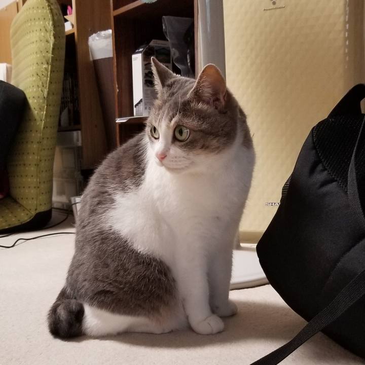 B28e286d 6951 4193 8353 60cd7e11f921 1693065472662