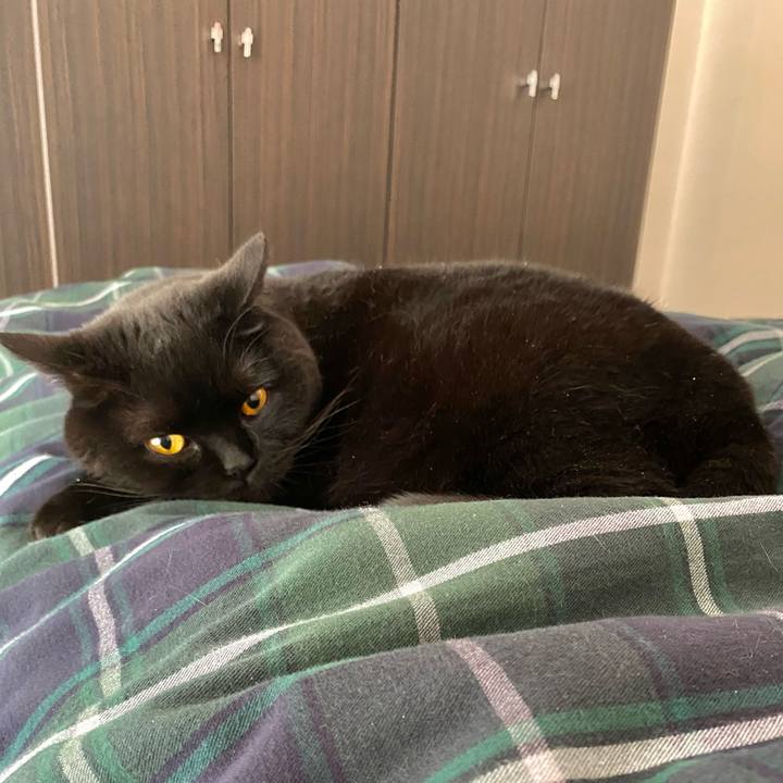 B28e71b3 6736 4cbc add2 30840f721468 1620090227966