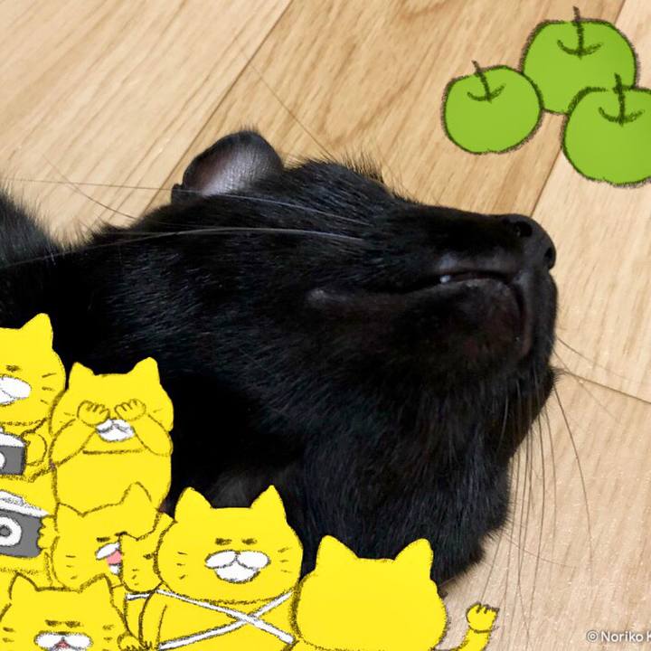 B28e7ad3 261b 4ff7 9ab2 958308c0b4f1 1535538367891