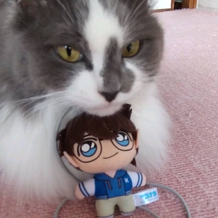 B28e827b cac0 43bd b897 e2678a85189b 1682582247515