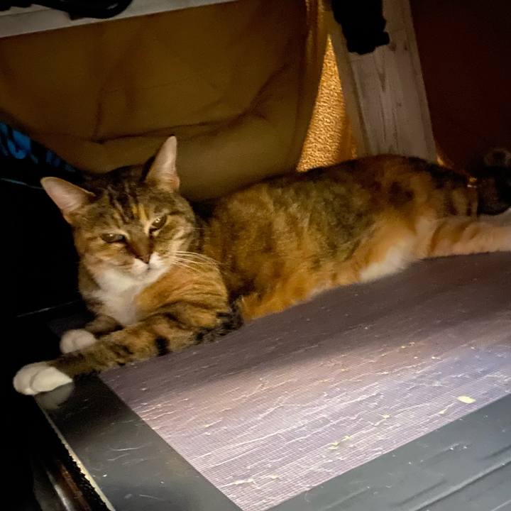 B28e974b 39fa 41f2 bd7a 77c3795a9ce8 1648911708938