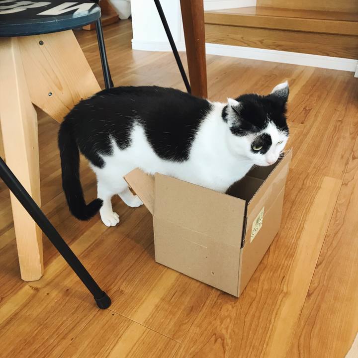 B28eafce e444 4beb abc0 0103e81ec75c 1551866815515