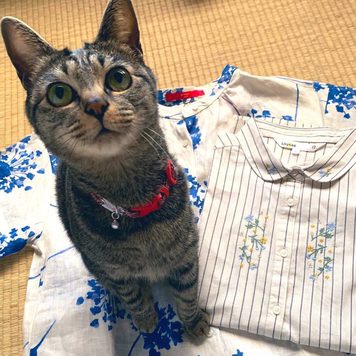 B28eb0a9 f84d 4ce8 ba04 faa36257b867 1556266640351