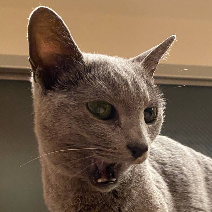 B28ed796 9273 4b45 ba83 e01cfe90aa71 1583276551995