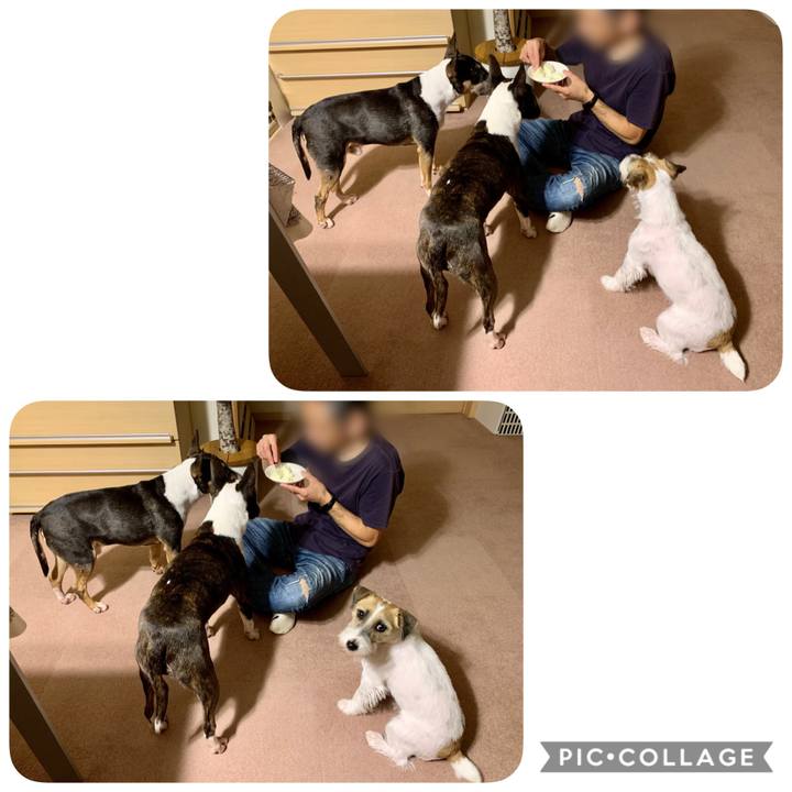 B28ef02a cf13 4b62 8c94 aba49a006779 1603106857578