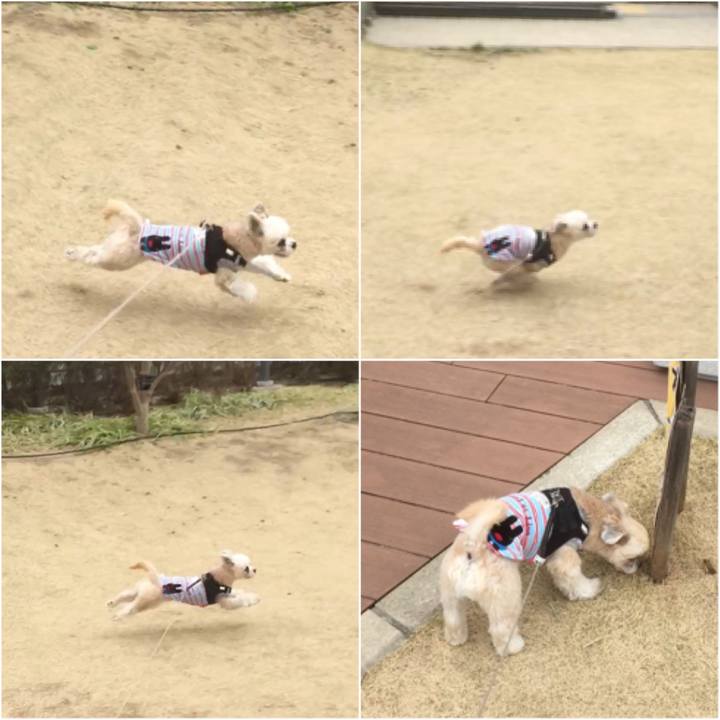 B28ef0e5 523a 4105 b040 7038b11b3cd5 1553928077825