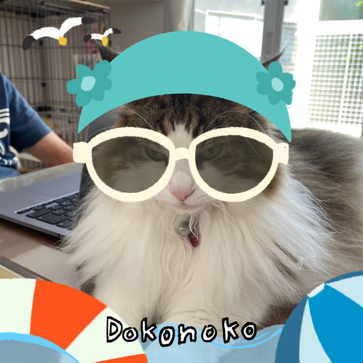 B28ef2f0 c89e 421d 9dae bfb0ed304c25 1723425425682